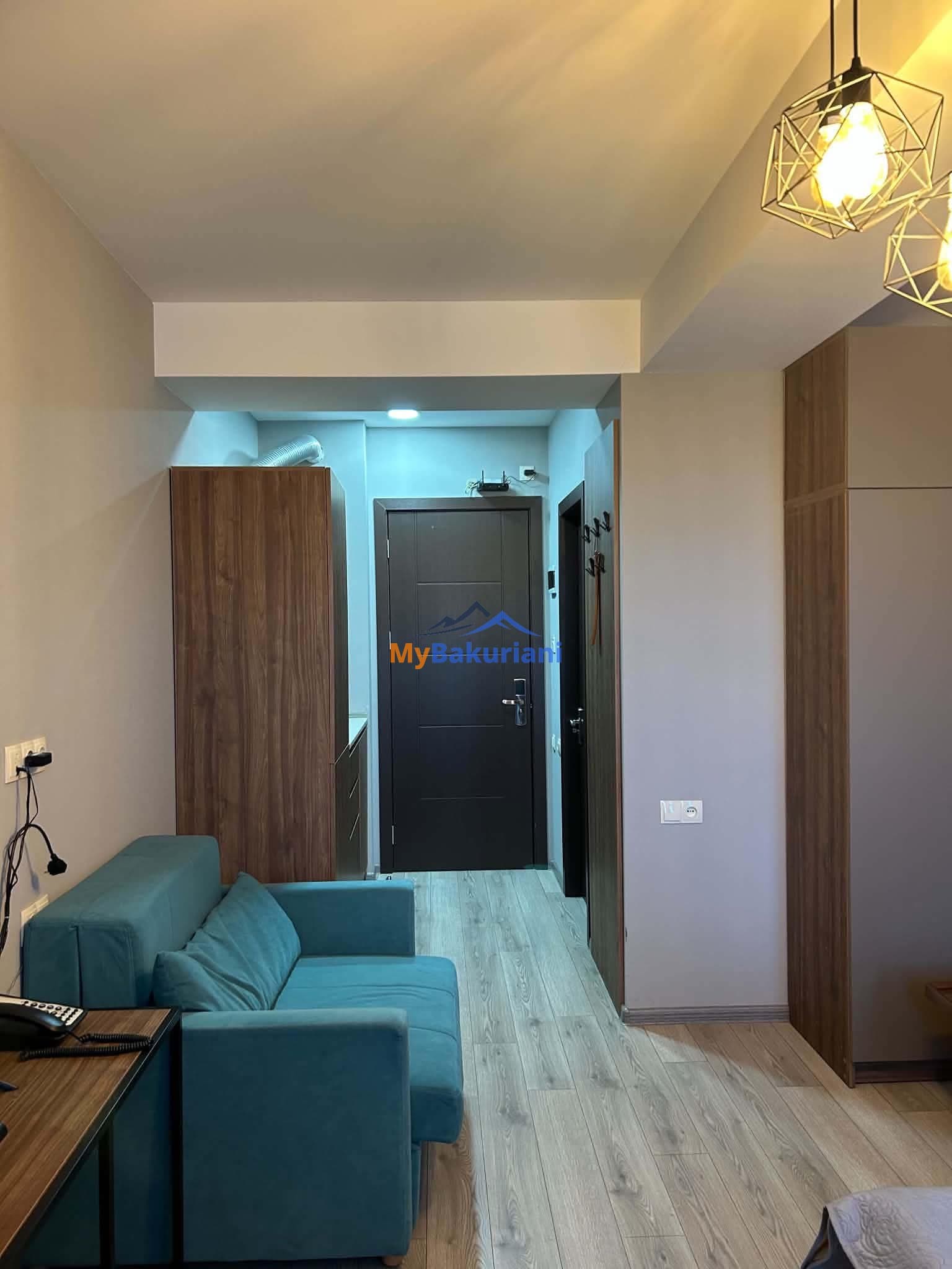 ქირავდება აპარტამენტი Crystal Loft-ში - 5